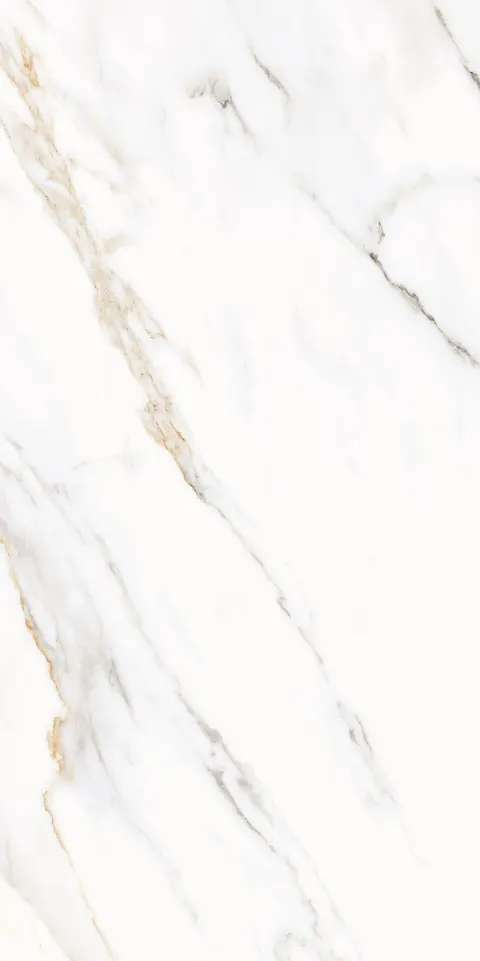ALABASTER WHITE view 4